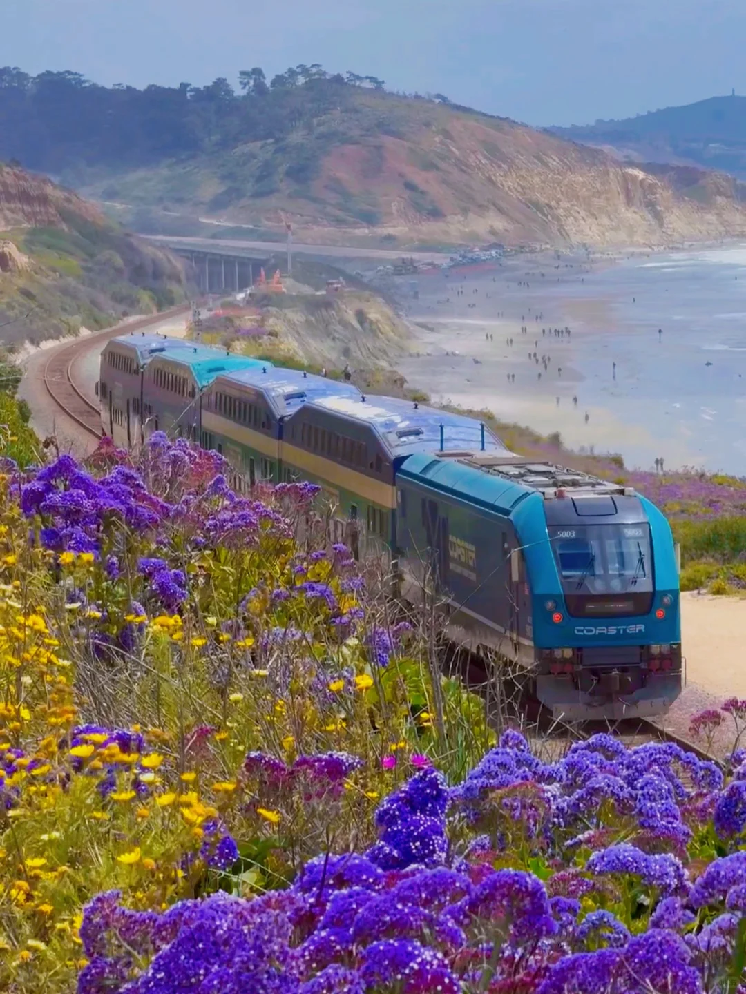Southern California | Oh My, This is the Right Way to Embrace Spring!