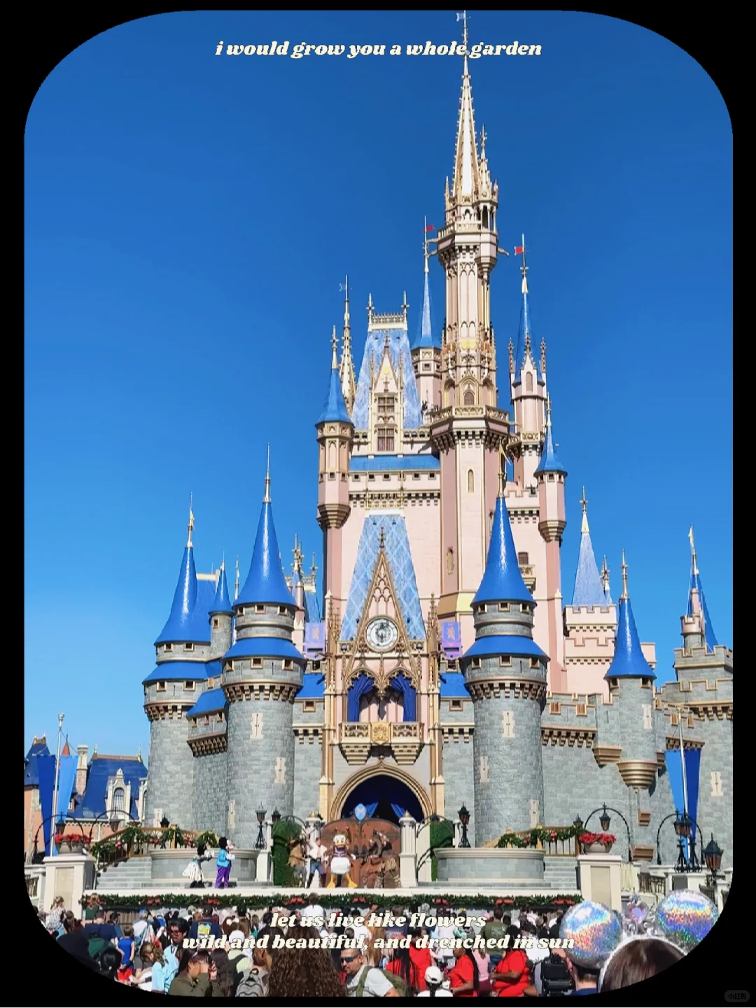 Thanksgiving in Orlando