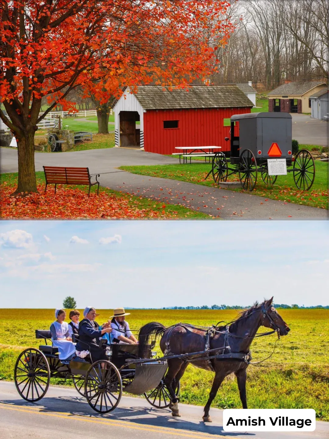 Oh My Goodness‼️ A 2-Day Trip to Washington, D.C. for Just $49 Per Person❗️❓