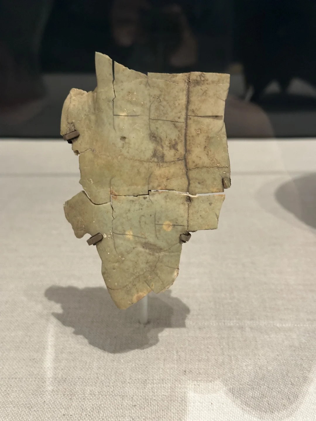 The University of Chicago Art Museum