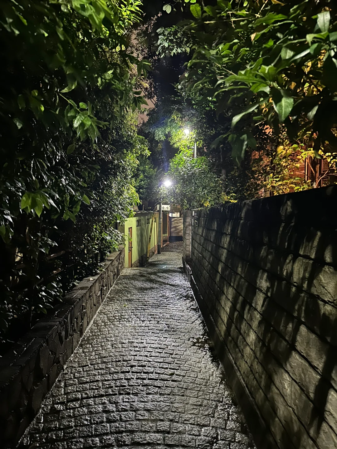 🇯🇵 Highly Recommended Western Restaurants in Tokyo (Save This List!)