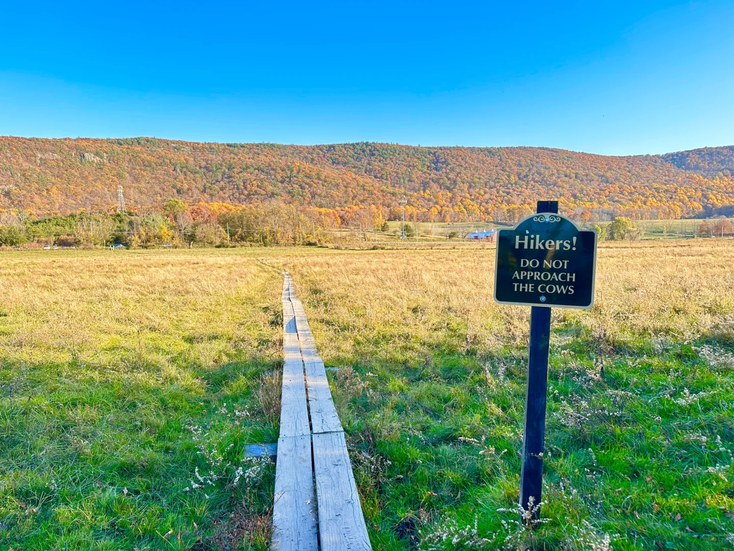 Philadelphia Fall Foliage: Hiking the Stairway to Heaven