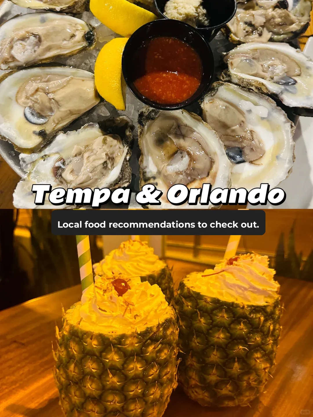 Tampa & Orlando 🔥 Local Foodie Recommendations 🌮 Must-Try & Skip List