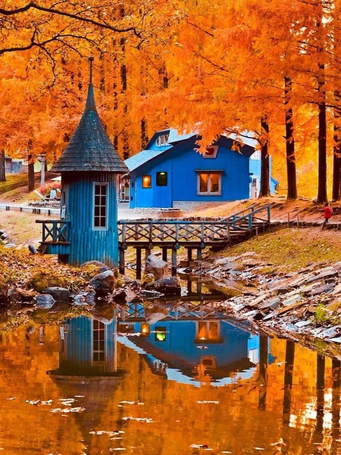 Saitama Prefecture | The Soul-Soothing Spots That Reset Your Fatigue