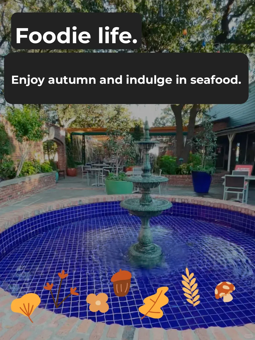 Dallas Weekend Plans | Autumn Views & Seafood Delights