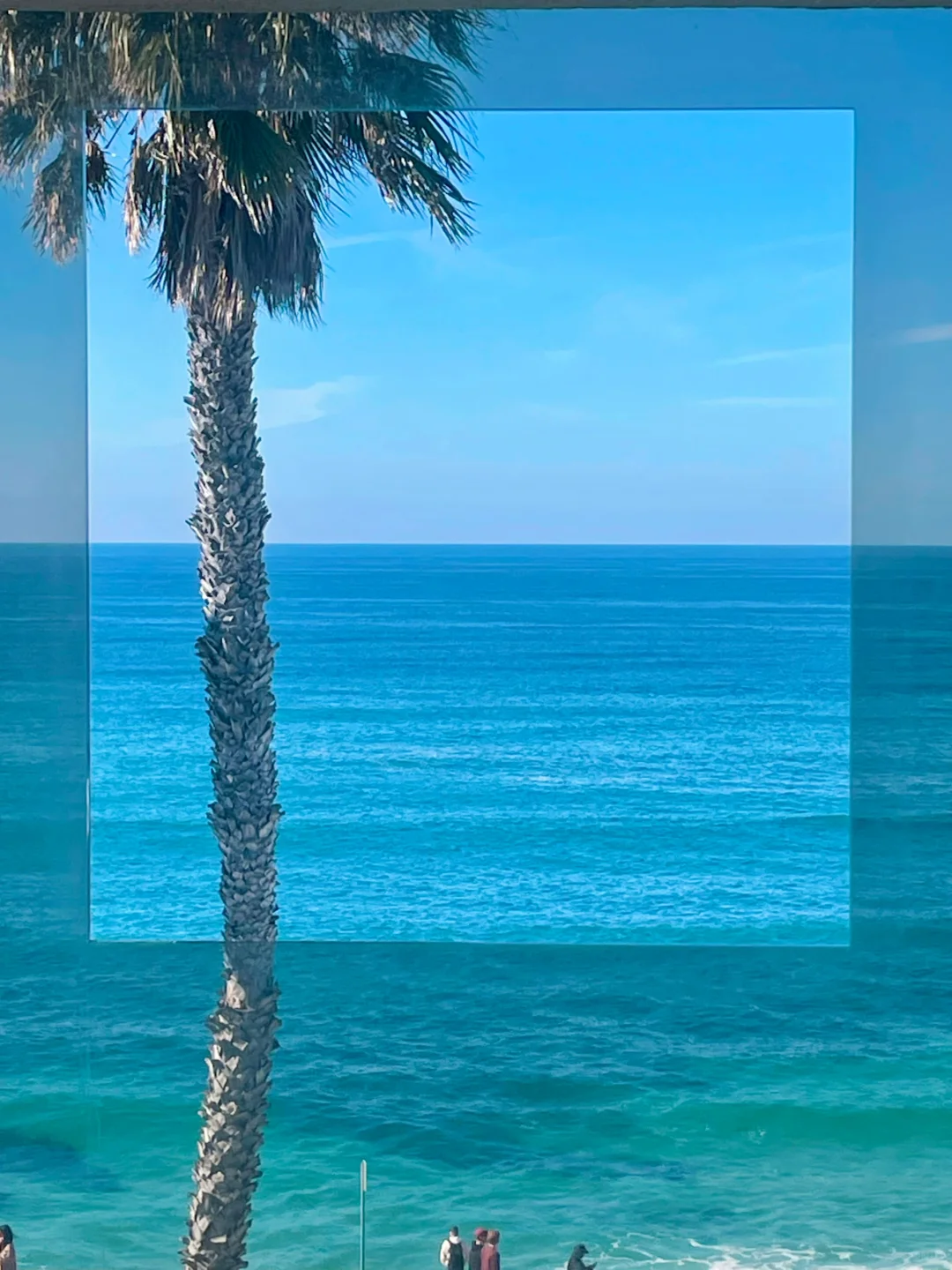 California Travel ▫️ Life Advice: You Must Visit San Diego to See the Ocean 🌊