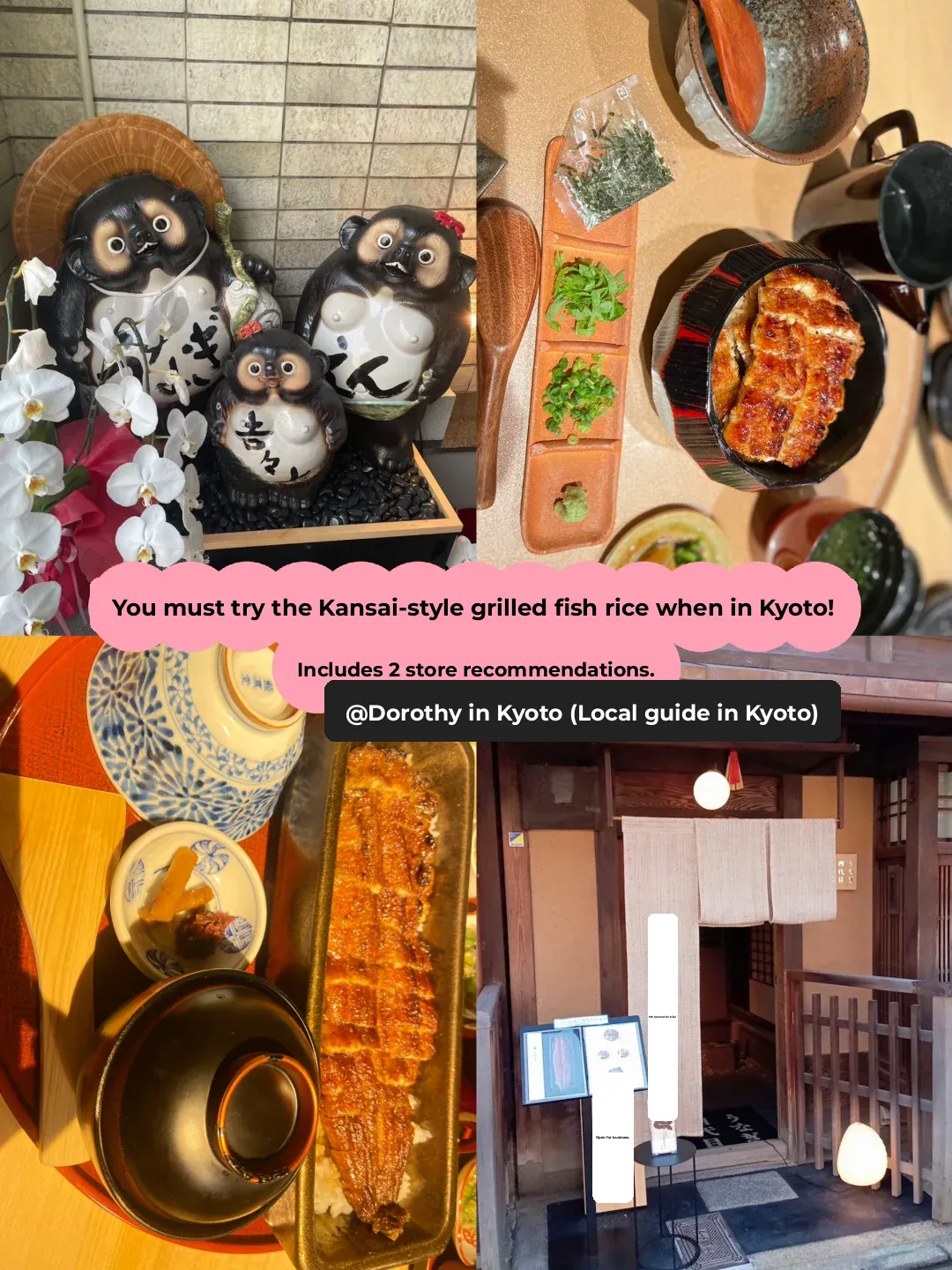 Kyoto | This Unagi Don Totally Delivered!!