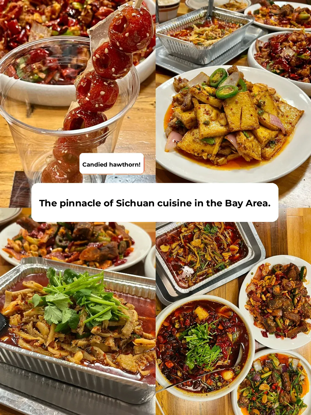Bay Area Sichuan Cuisine King! Flavor on Point...