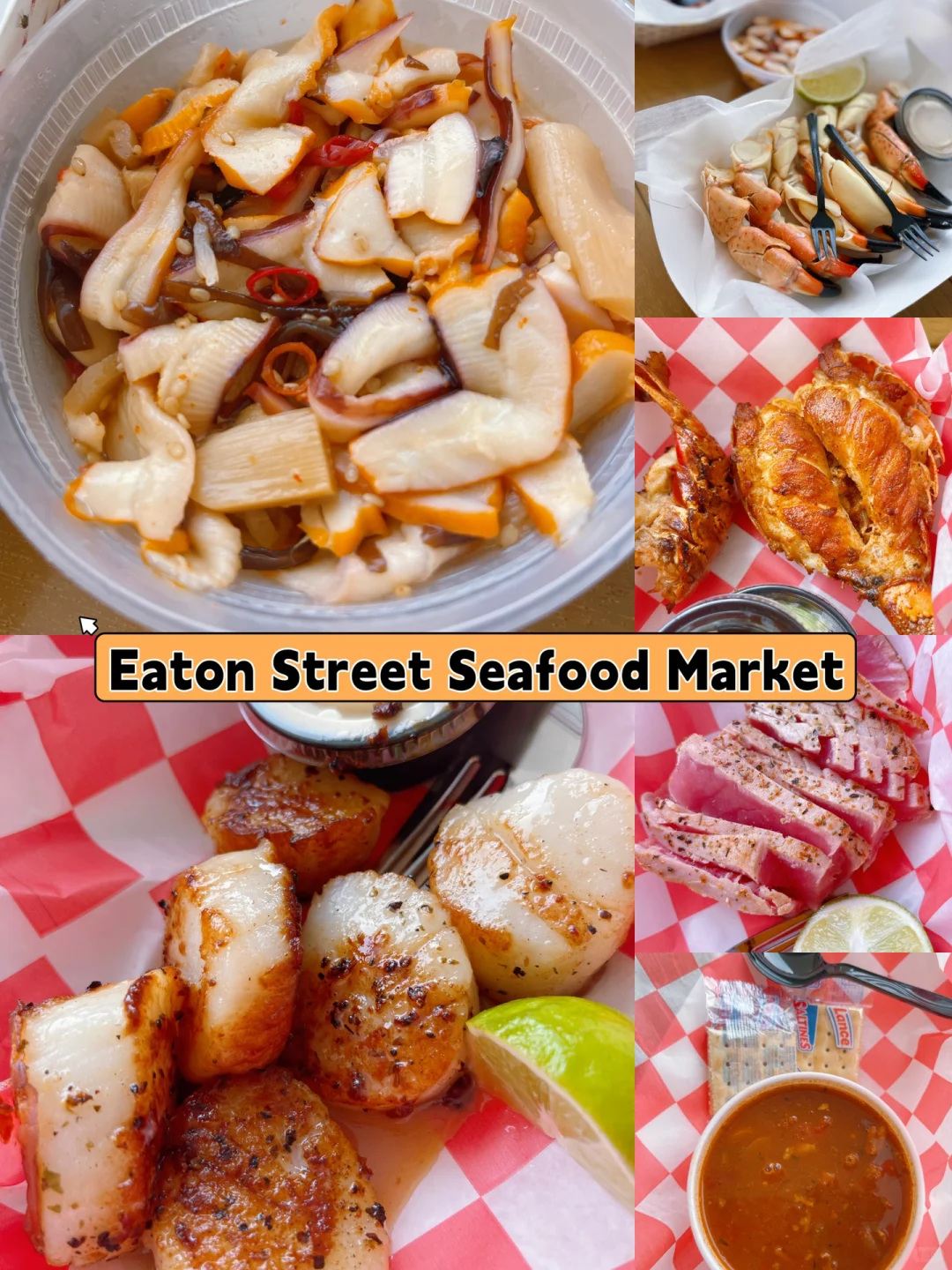 Travel Guide | Key West Food, Fun, and Adventure Roundup