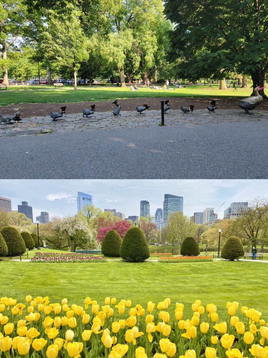 Must-Visit Parks in Boston 🍀 Dog Walks & Kid-Friendly Fun 🍭 Picnics & Hiking ✔️