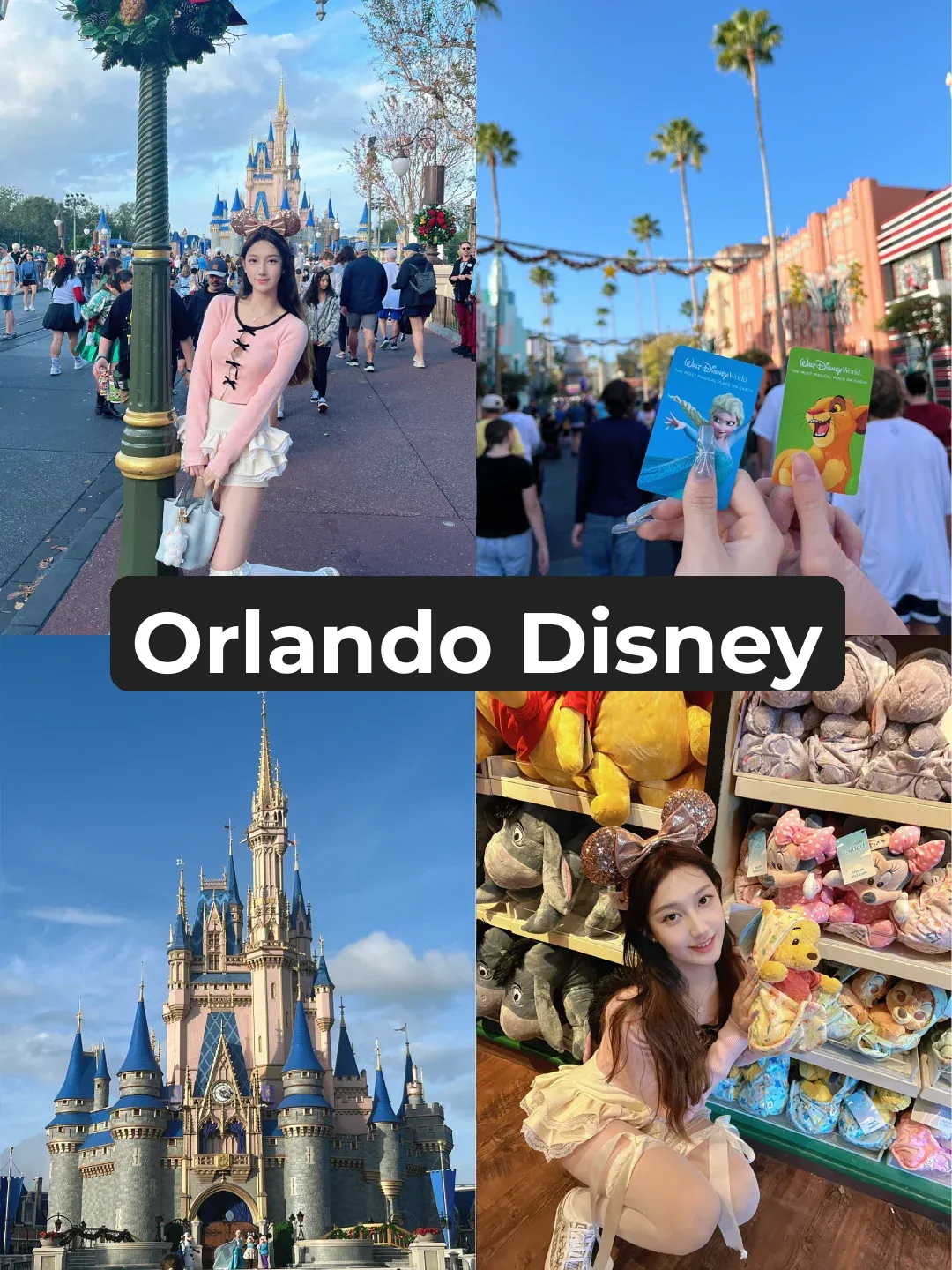 Orlando Disney🎀 Ultimate 2-Day, 4-Park Guide & Food Review