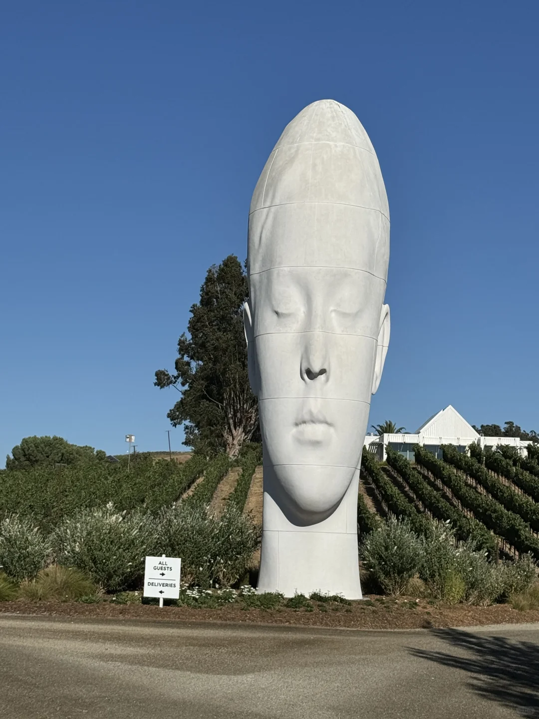 Just 1 Meter Away from Picasso's Original, Then I Stepped into a Rolls-Royce