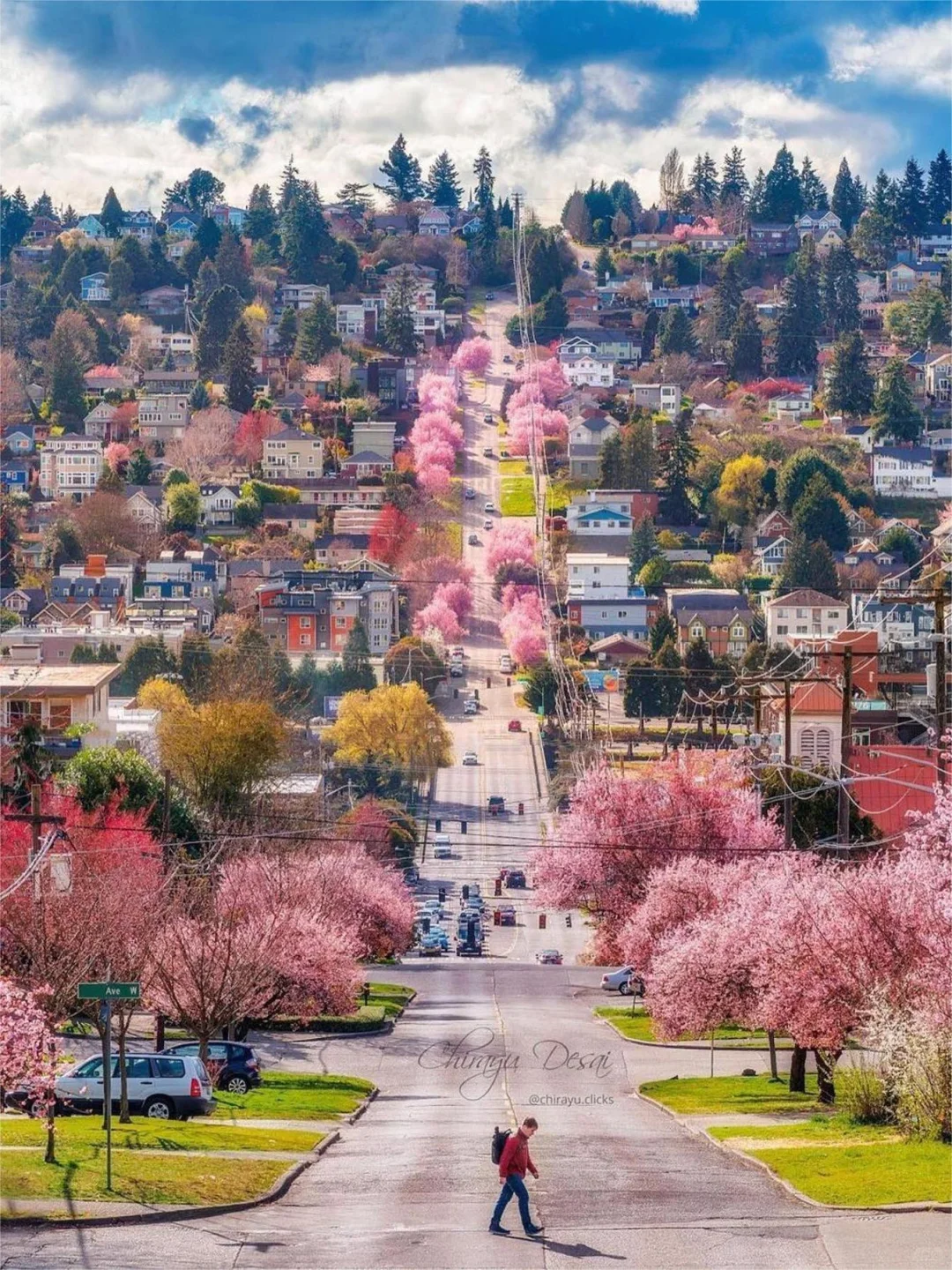 Top Hidden Gems to Visit in Seattle This Spring