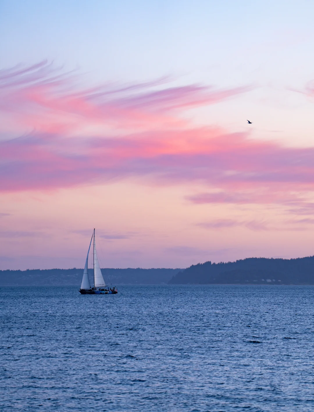 Seattle Sunset Series 2 | Centennial Park