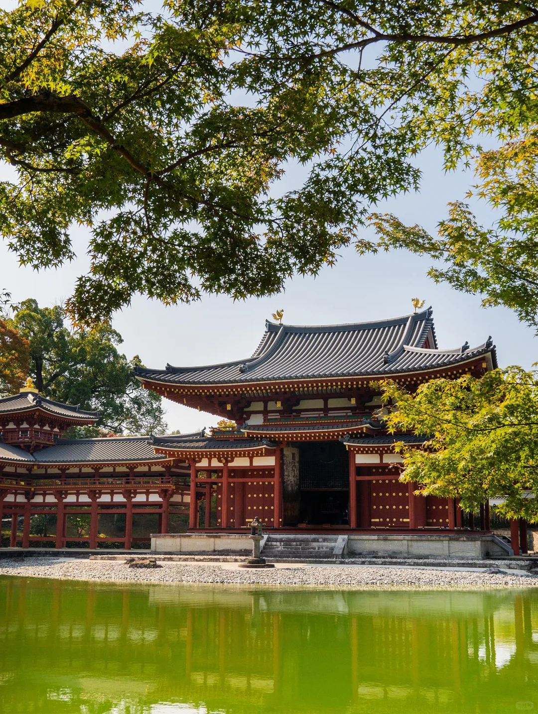 Master Osaka's Surroundings in One Go! ‼️ 5 Classic One-Day Itineraries