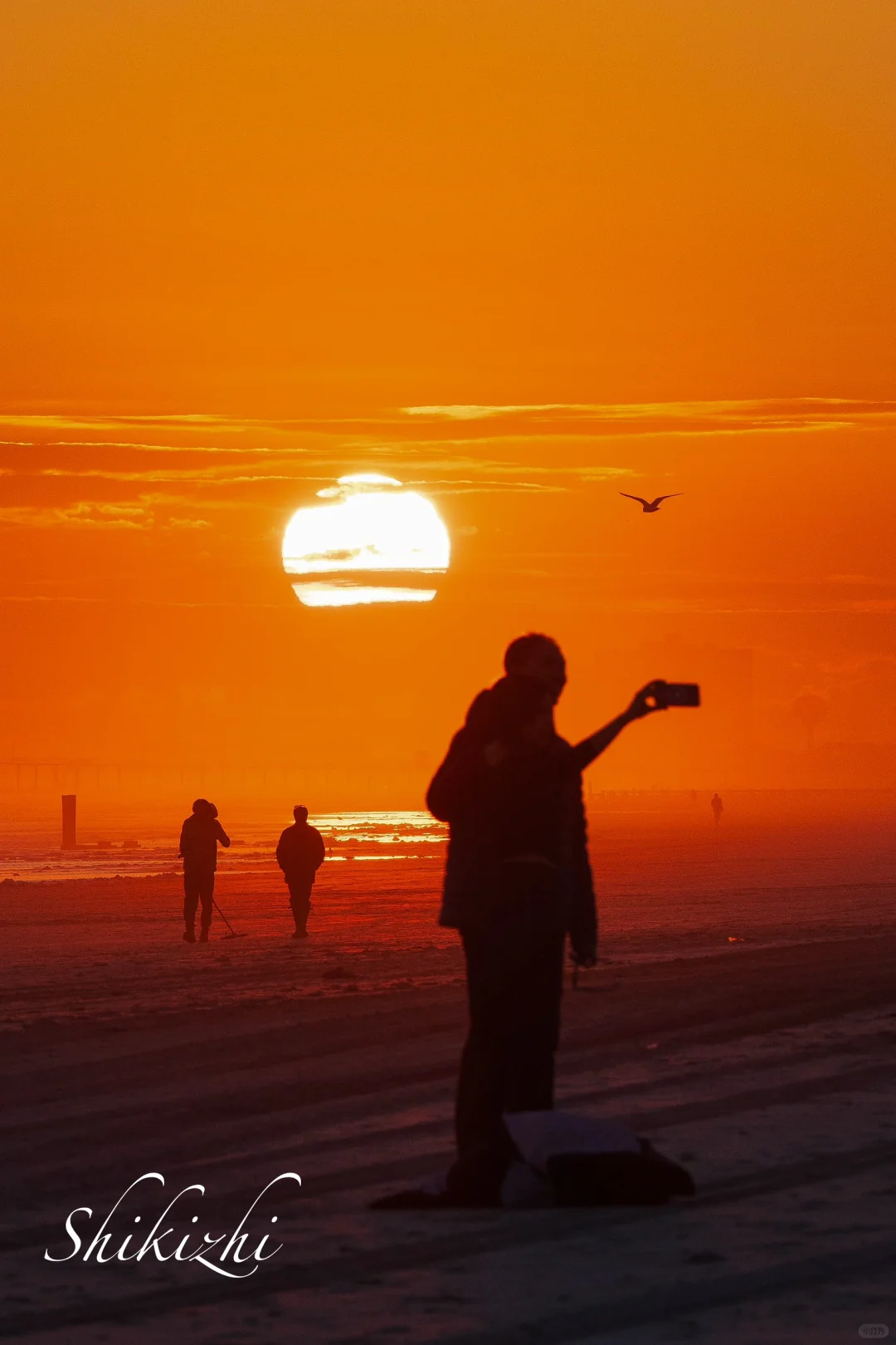 Atlantic City's Beaches, Ferris Wheel, and Sunset