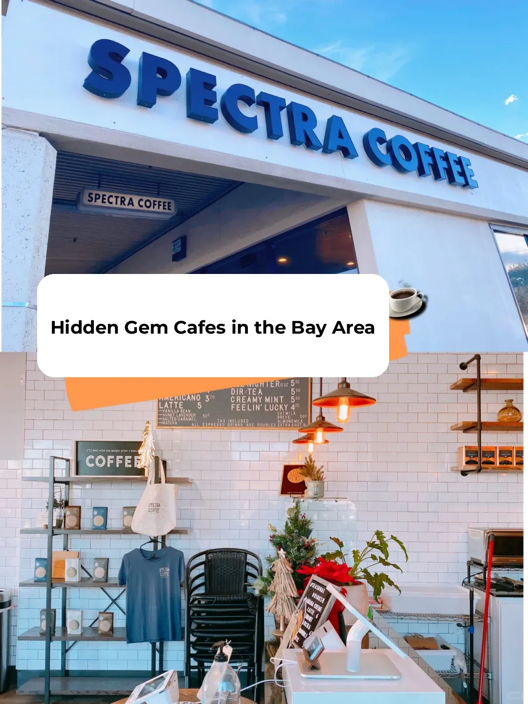 Hidden Gem Coffee Shop in the Bay Area ☕️ SPECTRA CAFE