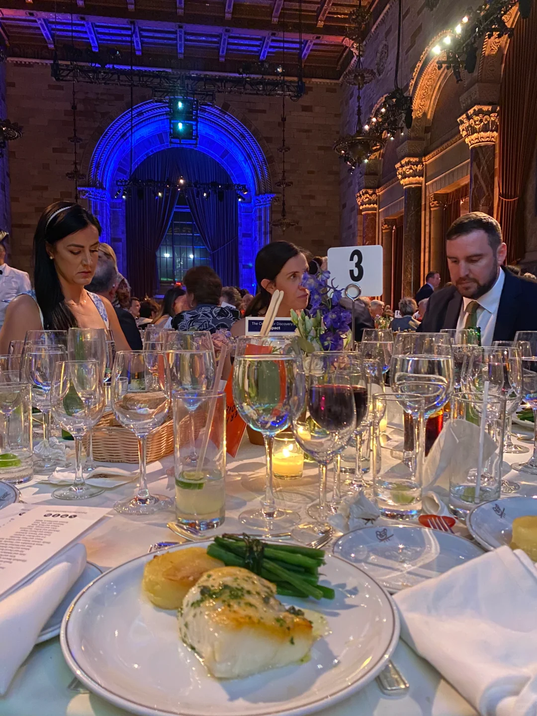 Cipriani New York Fundraising Gala