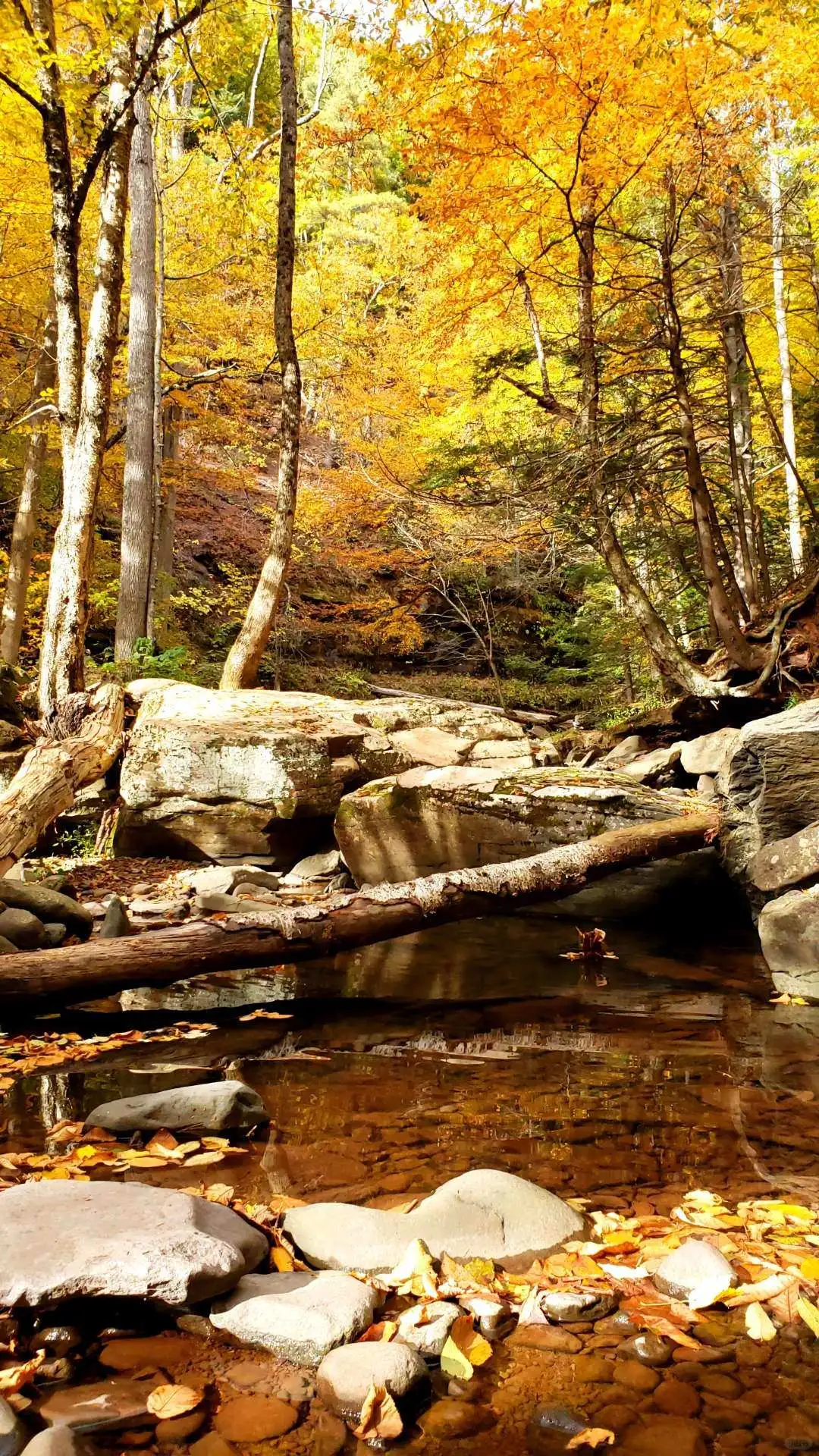 Here's the translation of the social media post title: