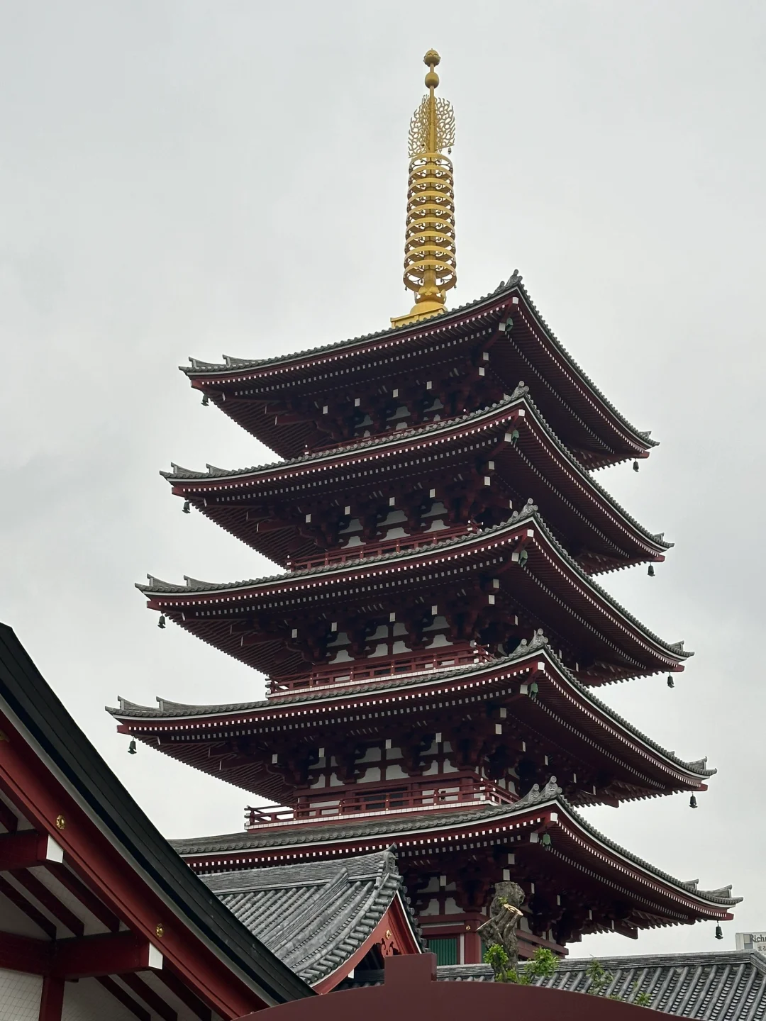 Japan | Tokyo Quick Guide 💃🏻 Akihabara, Ginza, Shinjuku, Shibuya