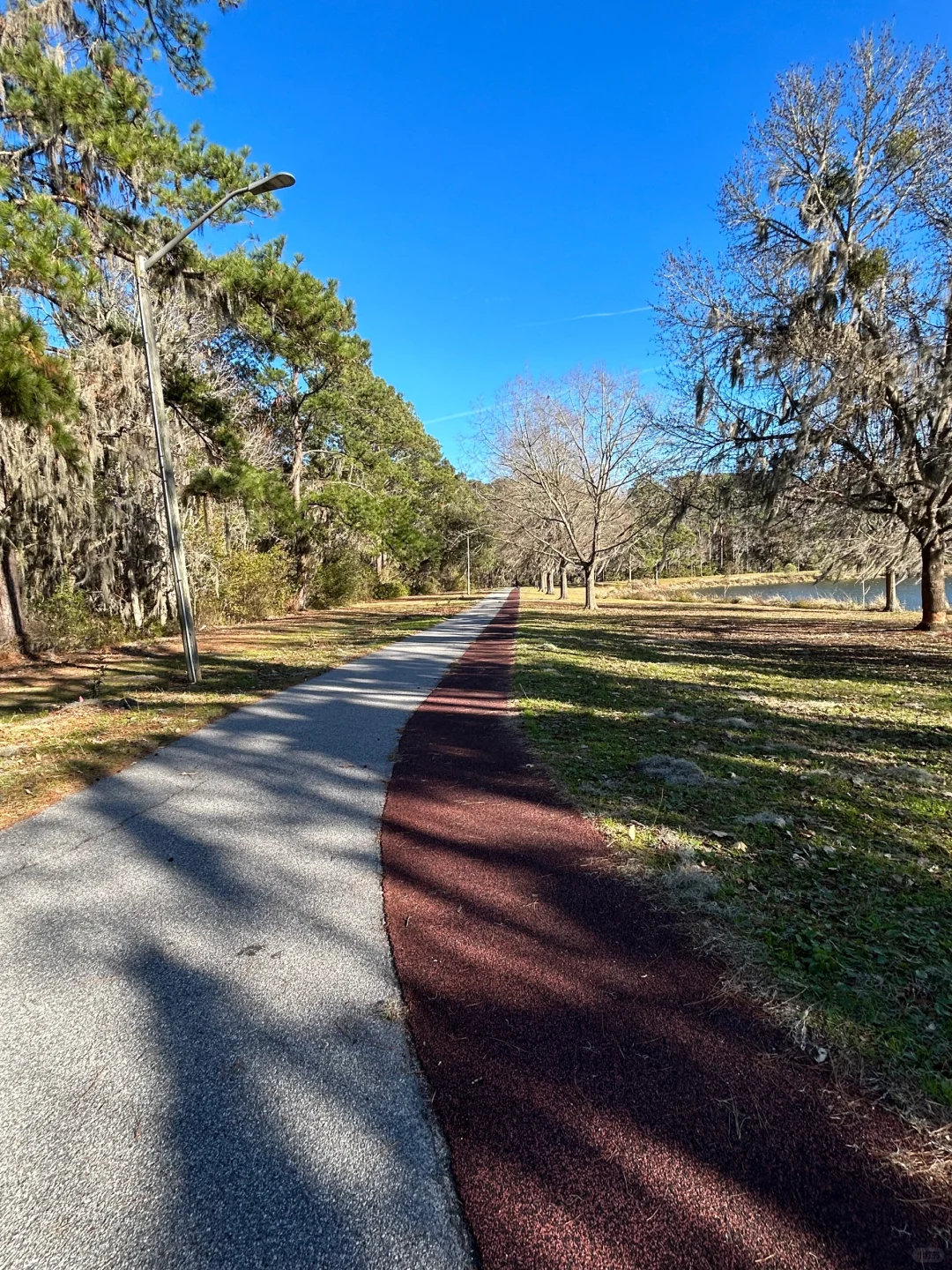 Savannah's Urban Oasis: Feed the Ducks 🦆 and Stay Fit in This Scenic Spot