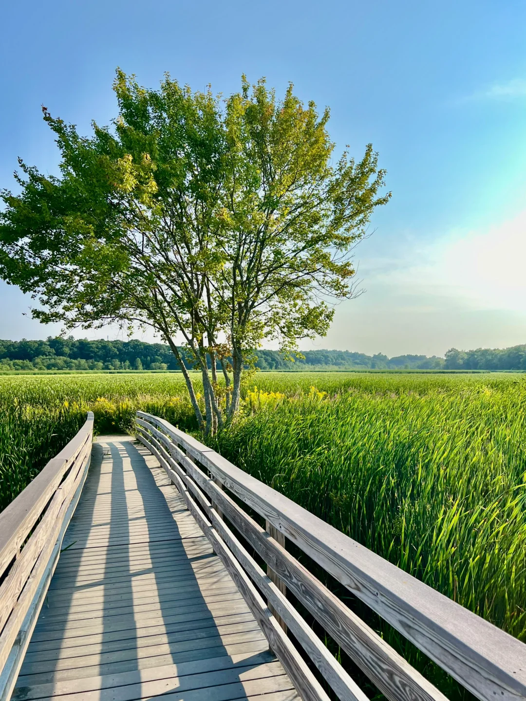 Around Boston | Stunning Lesser-Known Easy-Level Trail Route �️