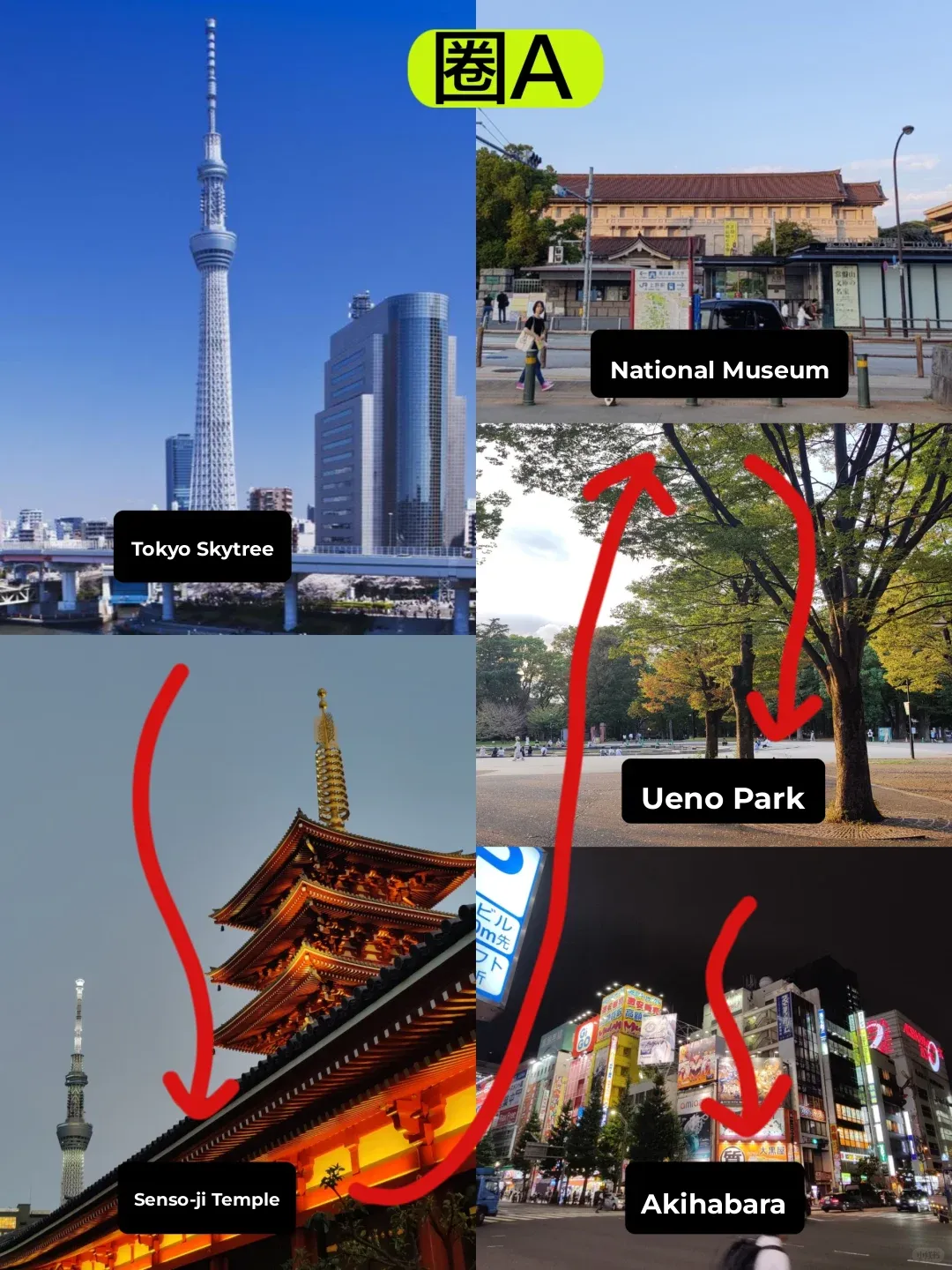 This is How You Do Tokyo Right! Tokyo Travel Guide