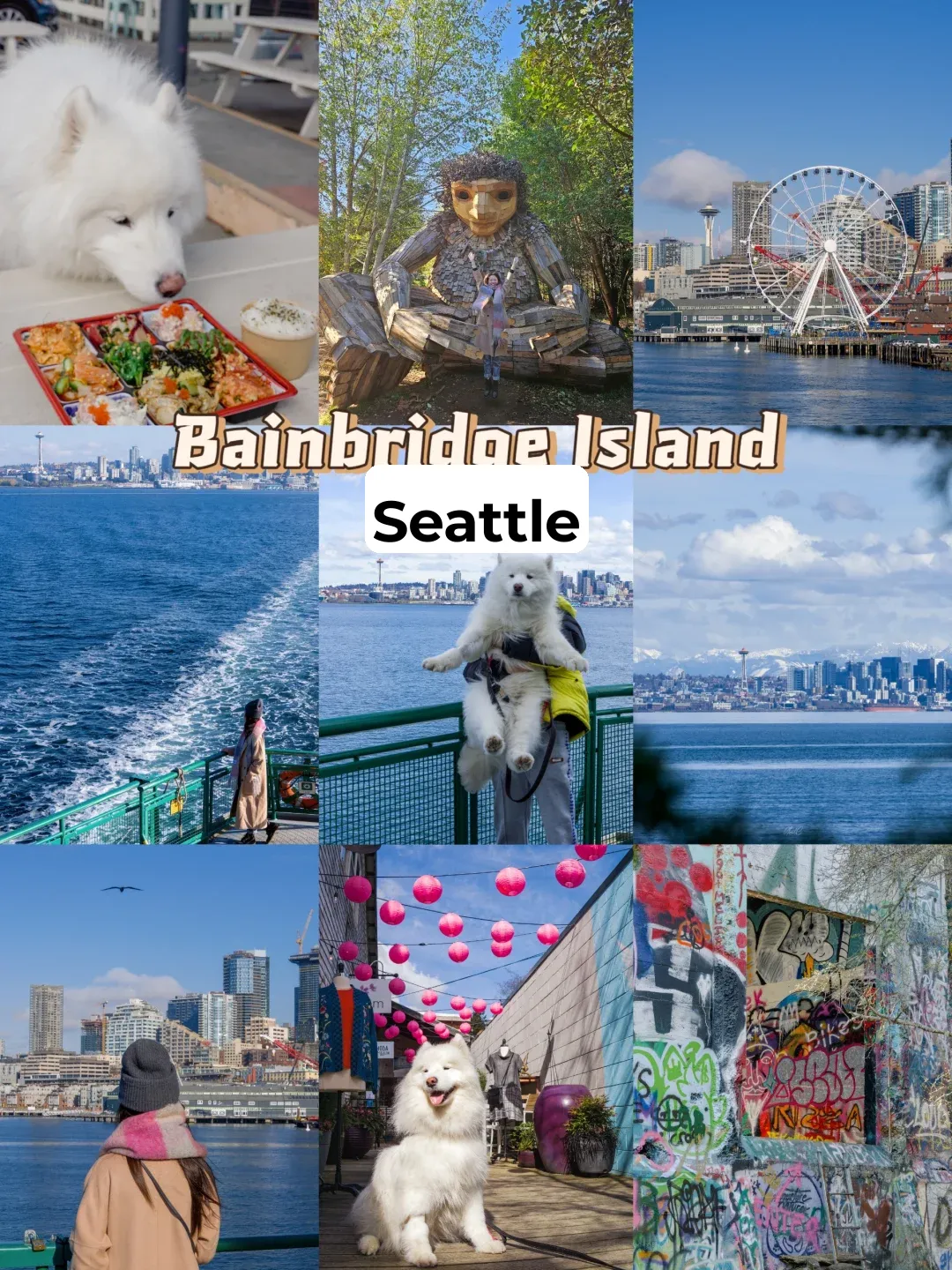 A Day Trip to Bainbridge Island from Seattle 🐋🧌