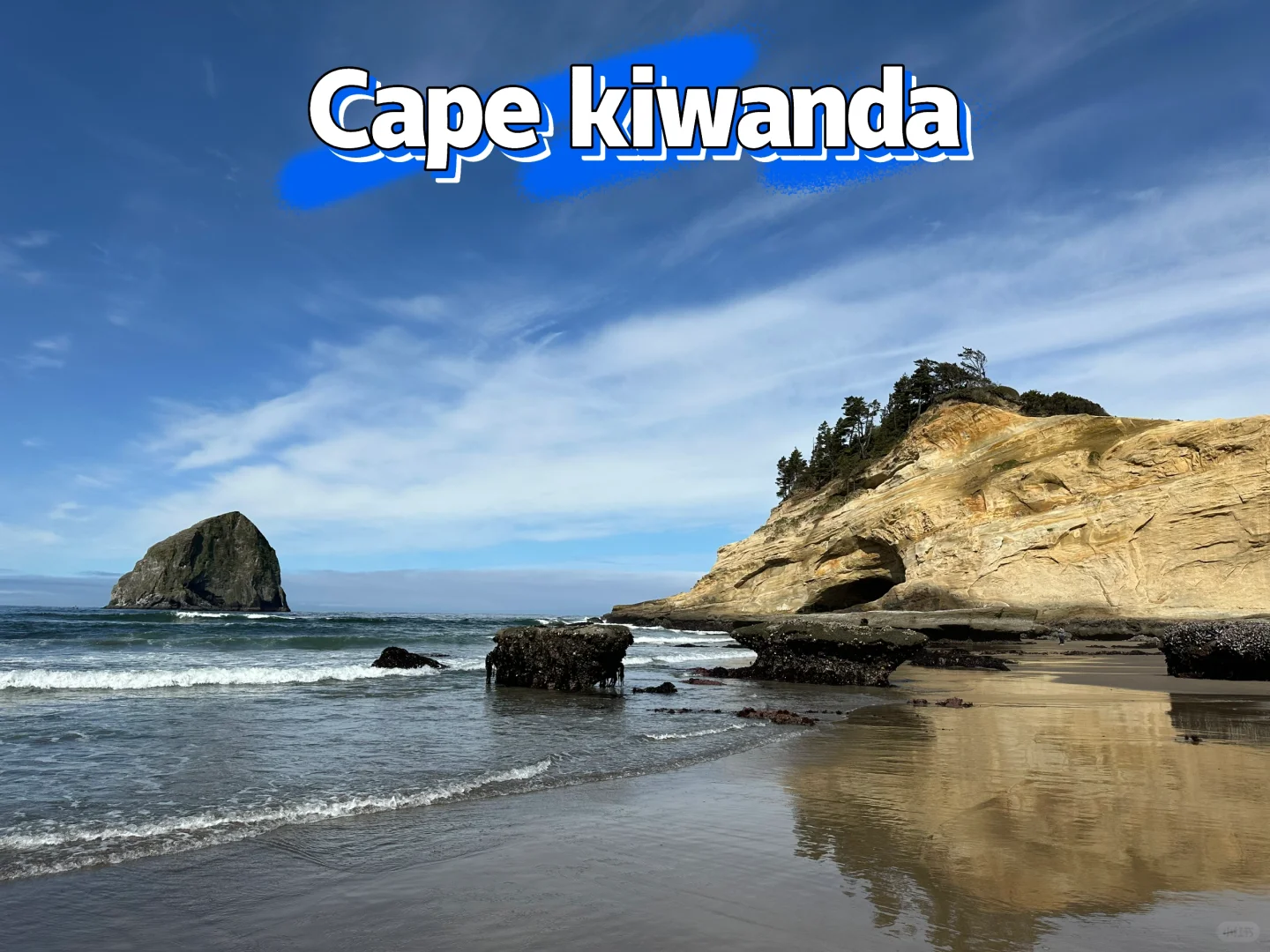 Portland Foodie Guide｜Late-Night Must-Visit Spots! Copy This Itinerary Part 2