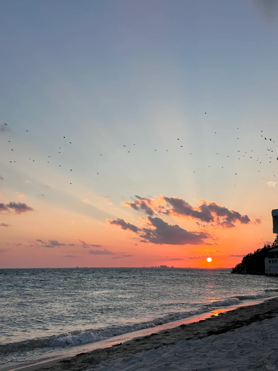 Kayaking🚣｜Miami Beach Activities🏝️