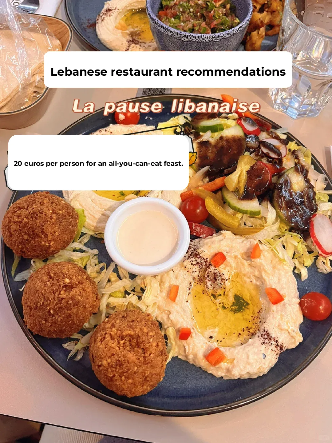 Bored of French Cuisine? Give Lebanese Food a Try! 😋
