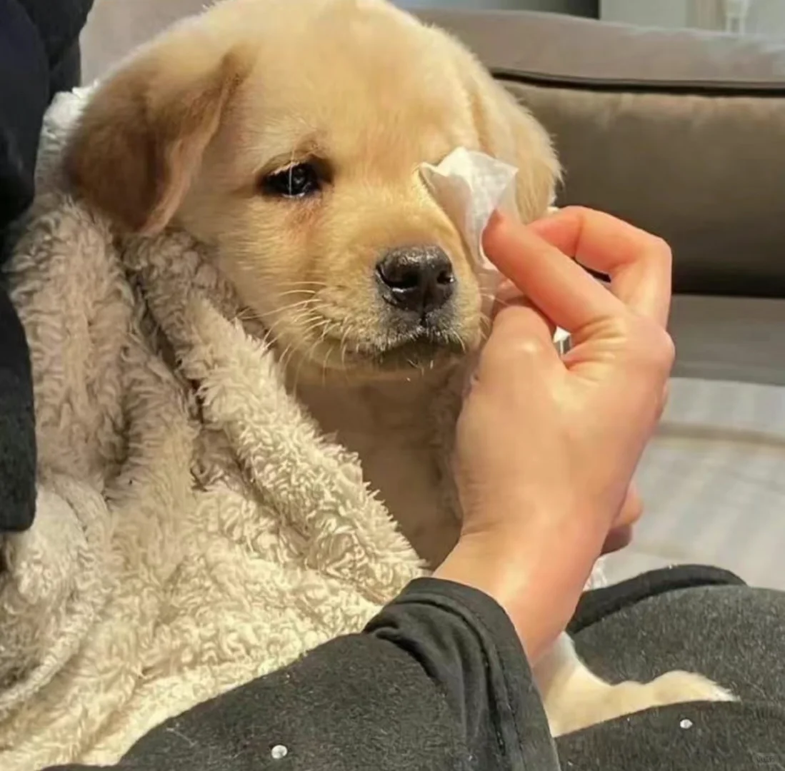 "One Person, One Closed Houston Restaurant 🥹 A Heartfelt Chat About Lingering Regrets"