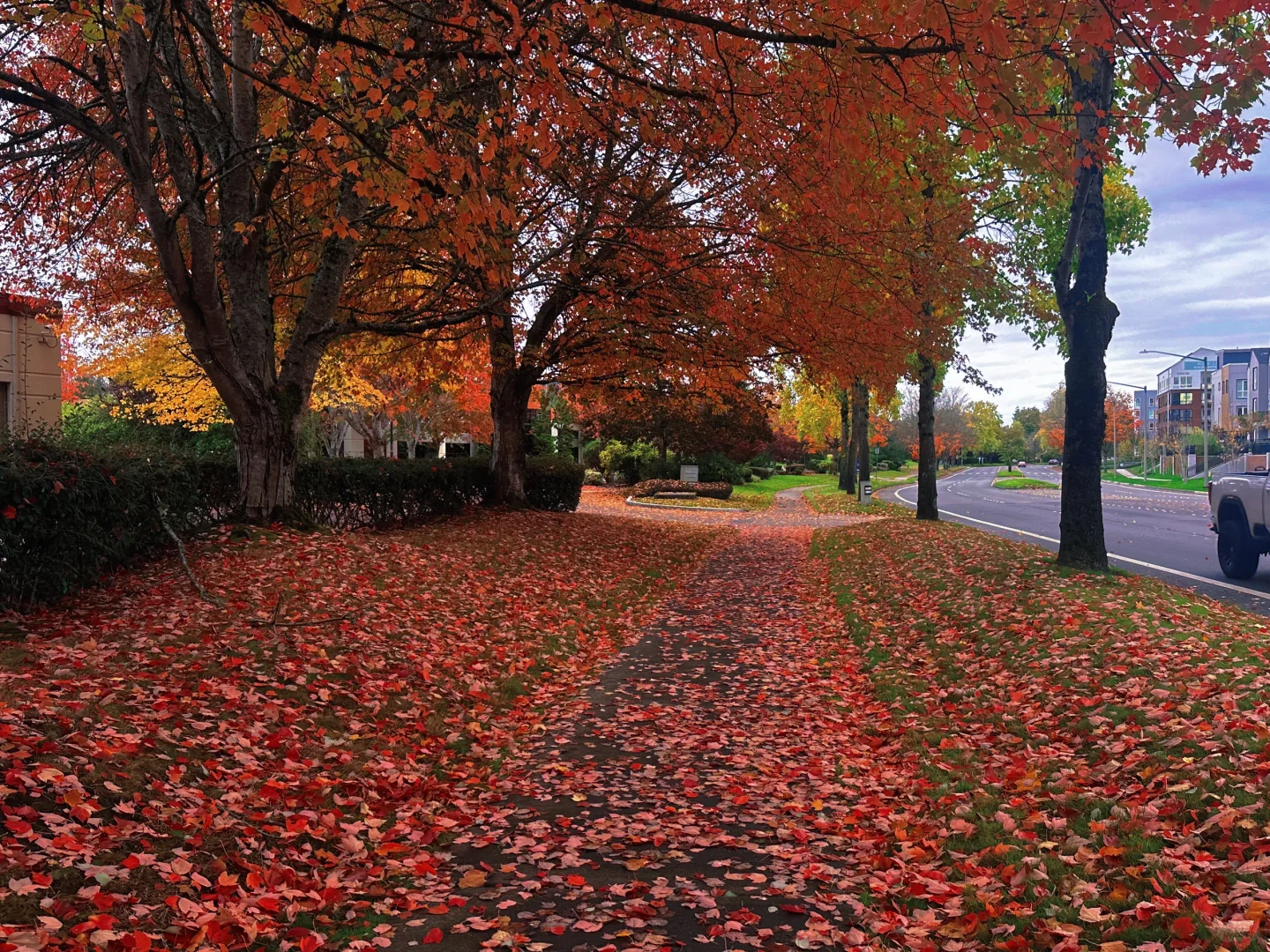 Seattle 🍁 | Cozy Spots for Autumn Appreciation