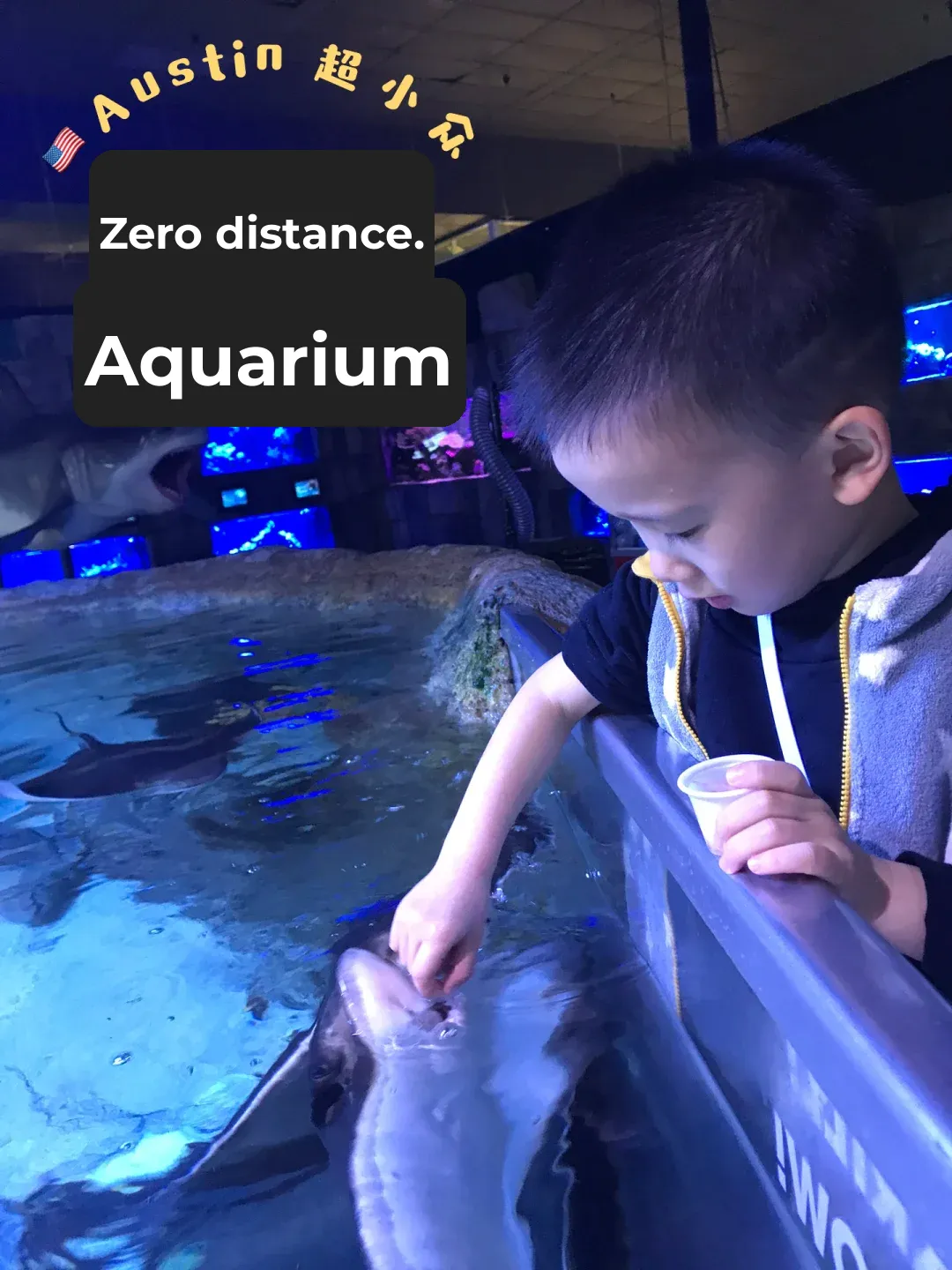 🇺🇸 Austin's Hidden Gem for Family-Friendly Activities