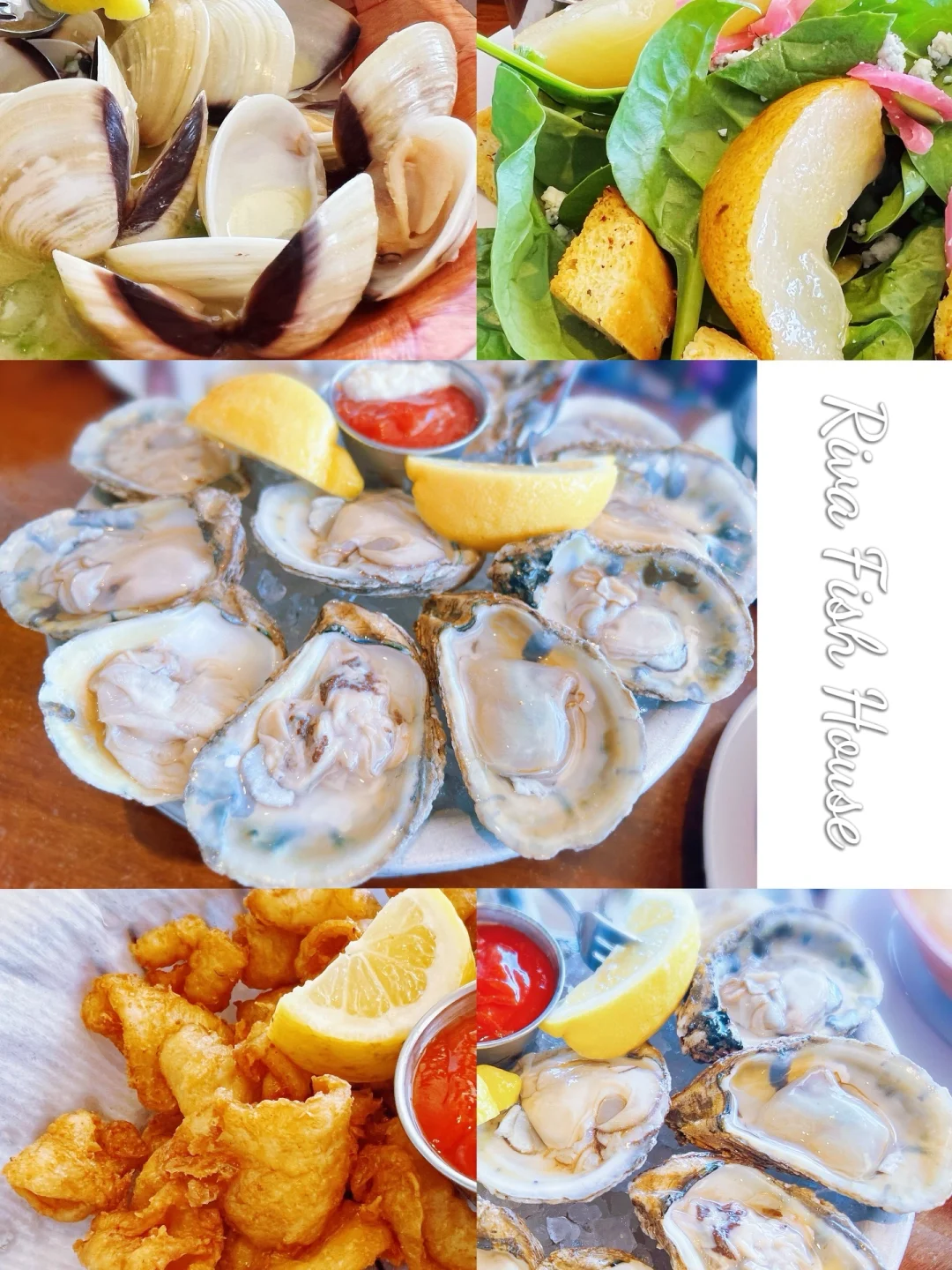 Ultra-Fresh Oysters｜Santa Cruz: No-Regret Affordable Seafood Spot