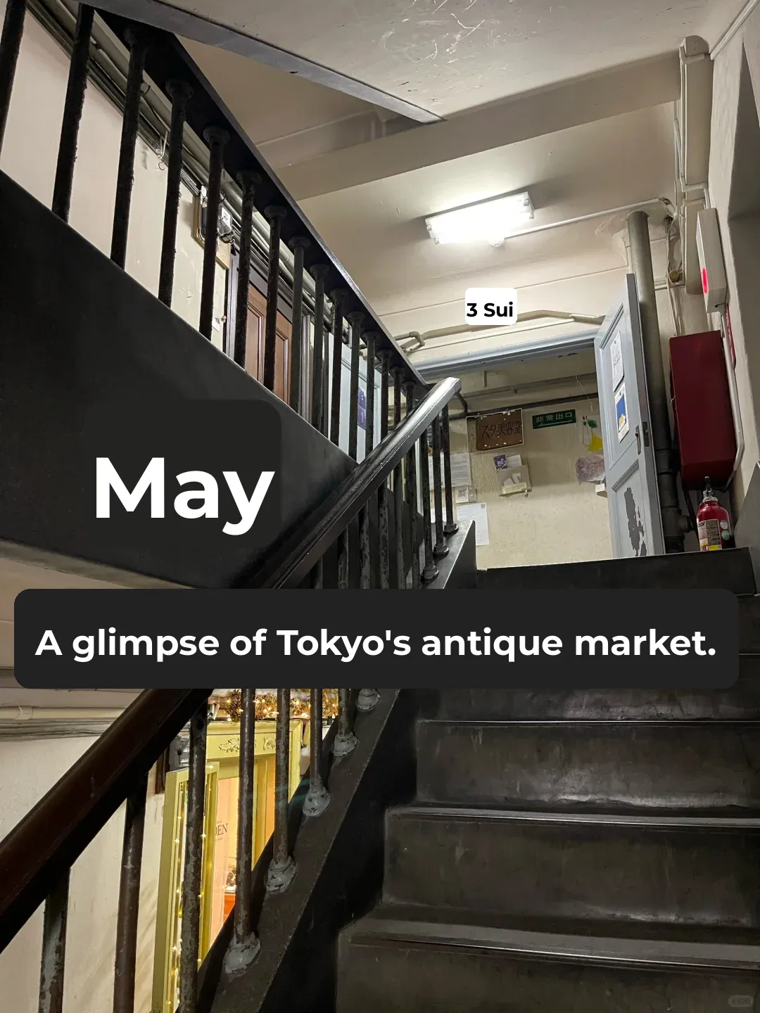 A Comprehensive Guide to Tokyo's May Antique Markets (Ultimate Edition)