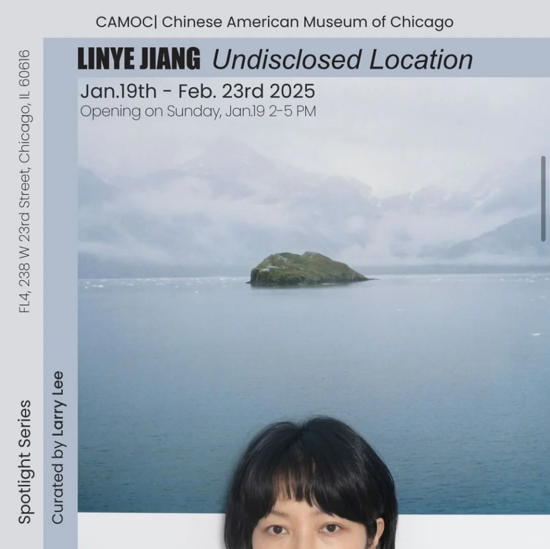 Chicago | My First Art Exhibition in a Museum