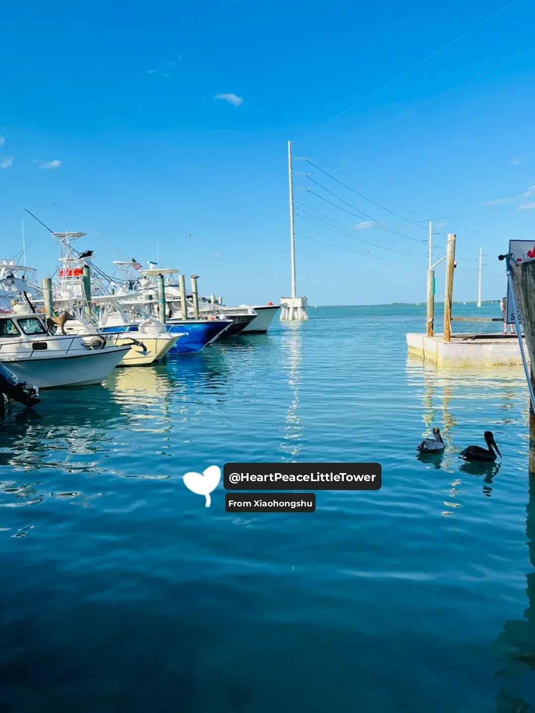 U.S. Travel #12 💙 Fort Lauderdale 💙 A Must-Visit City to Check Off Your List