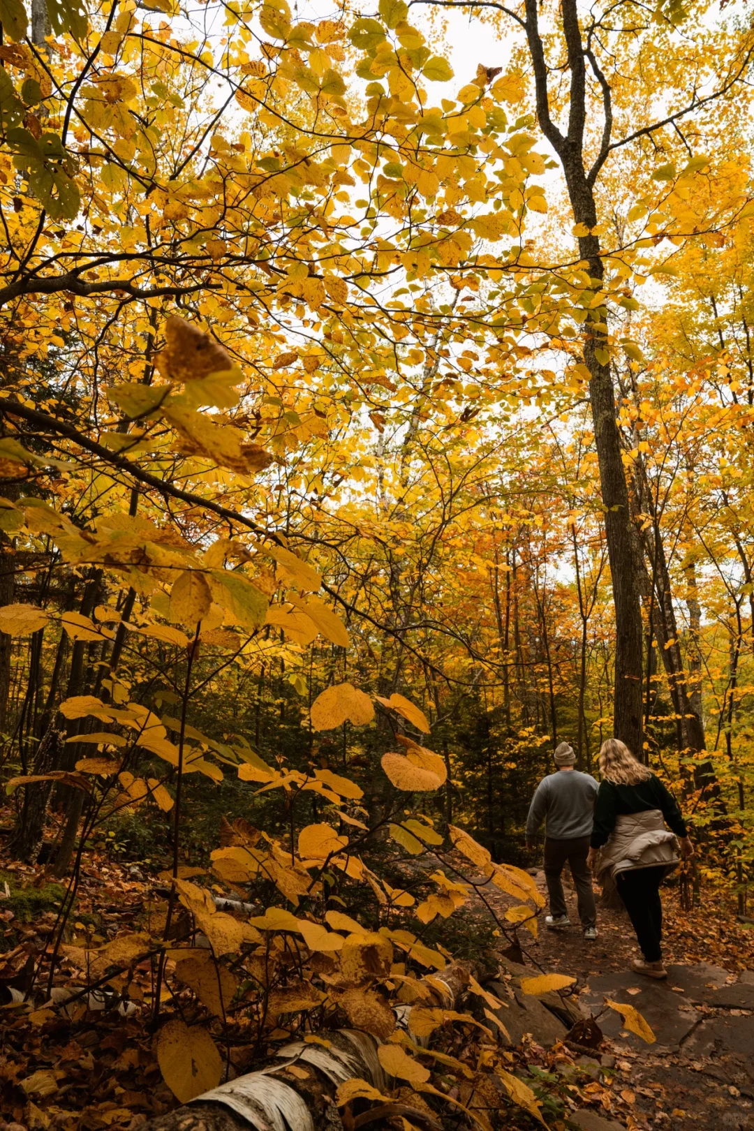 2023 Upstate New York Fall Foliage Guide - Hunter Mountain