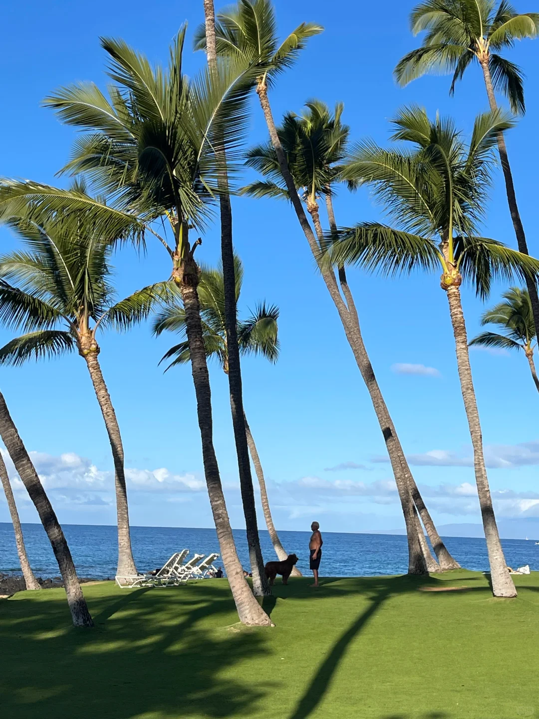 Endless Beauty Live | Hawaii 🌺