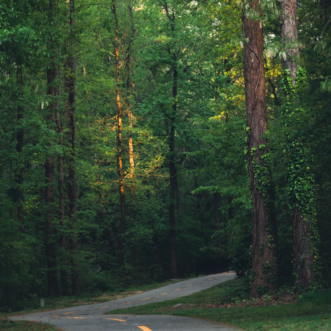 Cumberland in Atlanta is a great spot for hiking trails.