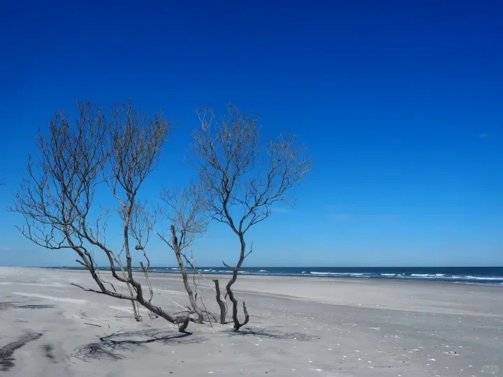 20 Hidden Gems in Atlantic City That Haven’t Been Overdeveloped