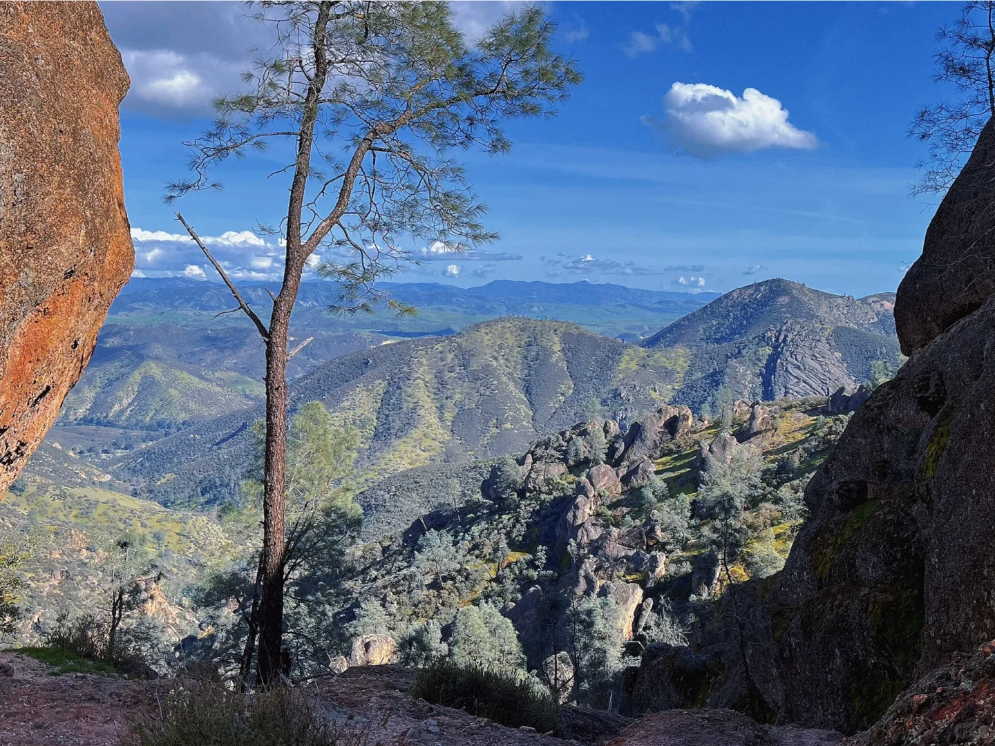 Pinnacles National Park｜One-Day Itinerary Guide