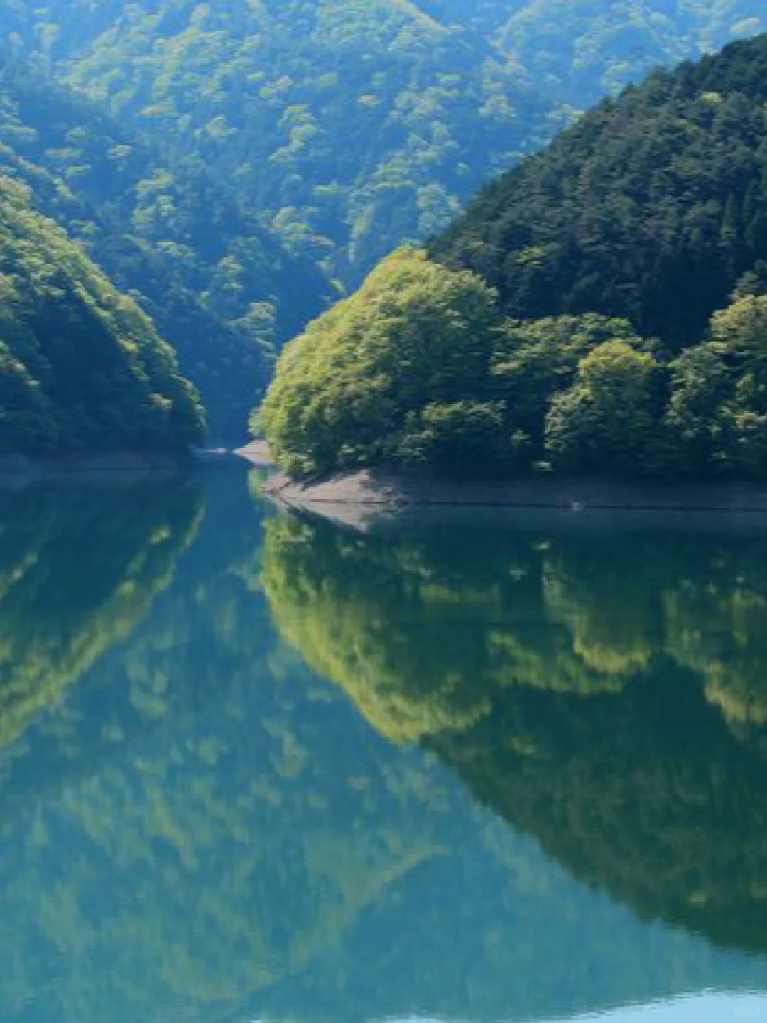 8 Hidden Gems in Tokyo You Need to Check Out 🌟