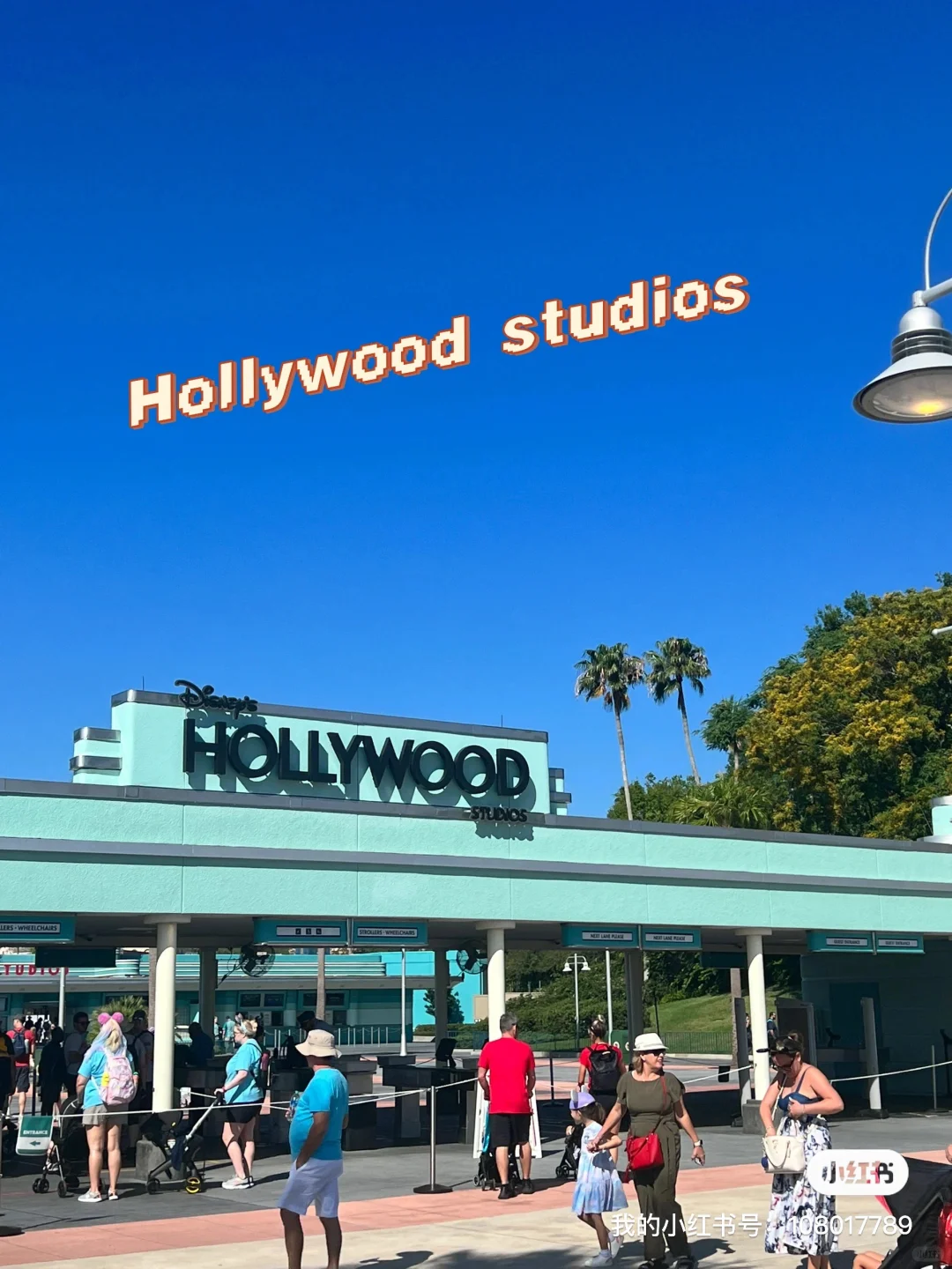 Training Trip - A Full Experience Sharing of Six Parks in Six Days in Orlando 10