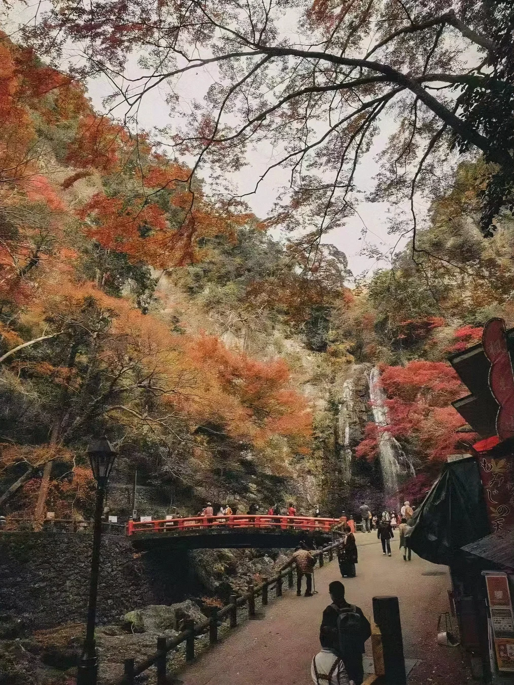 Check Out This Hidden Gem in Japan: A Chill Hike to Minoo Falls 🤩
