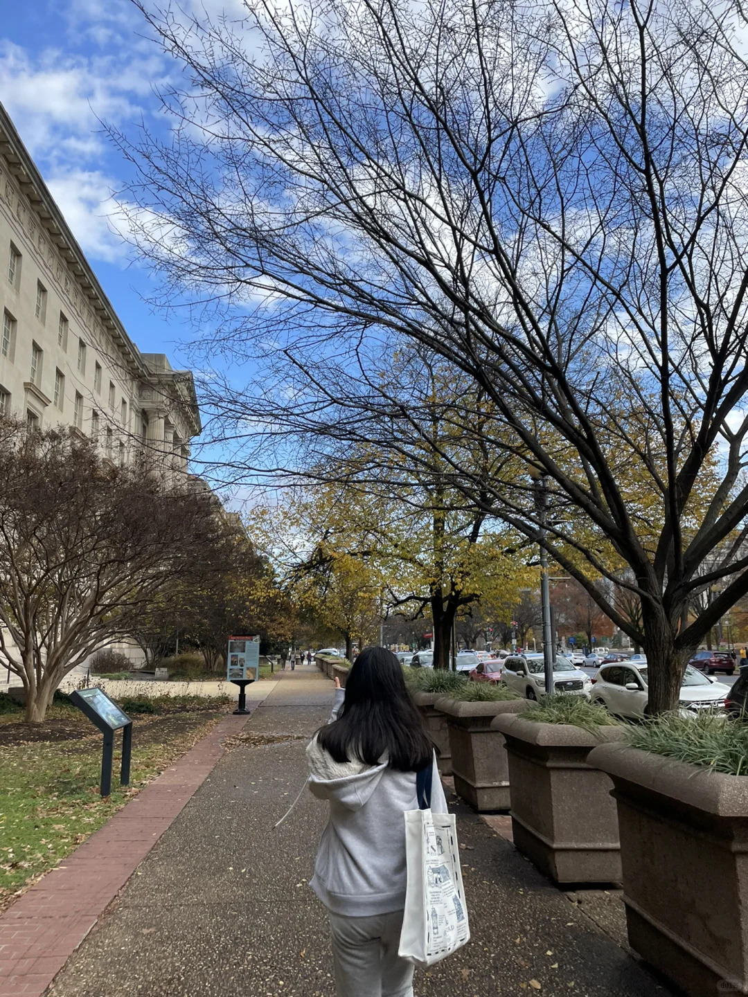 Exploring the East Coast with Kids: National Arboretum + National Christmas Tree