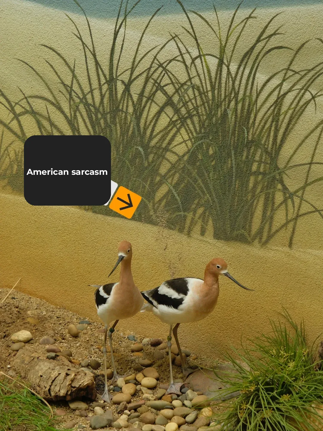 How Many Are Trapped in the False Light?