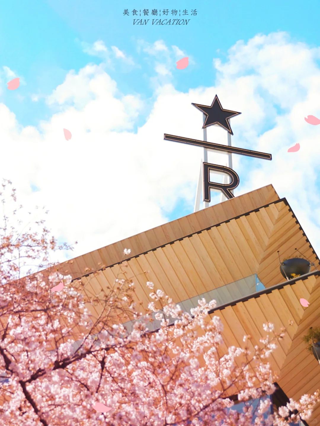 Five Hidden Starbucks in the Sea of Cherry Blossoms 🌸 So Romantic It Takes Your Breath Away