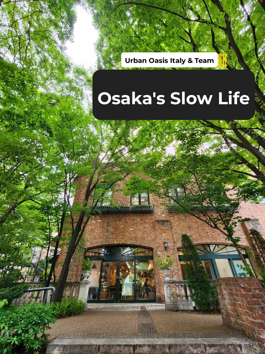 Ghibli-esque Fairy Tale World / Cozy Chit-Chat Café